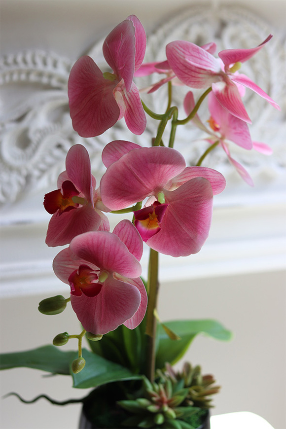 Różowa Pantera sztuczny gumowy storczyk z sukulentami