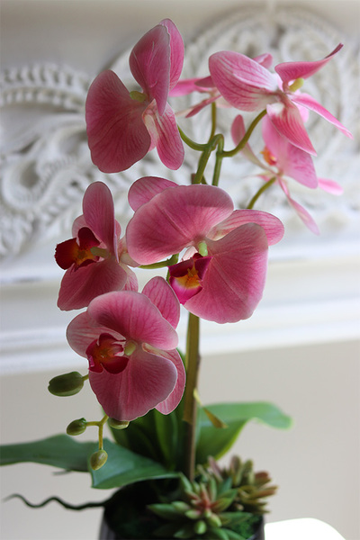 Różowa Pantera sztuczny gumowy storczyk z sukulentami