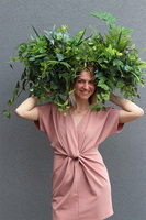 Wedding, zielona kompozycja do twojej donicy