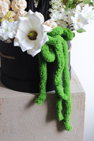 Black Easter Magnolia, flowerbox wielkanocny