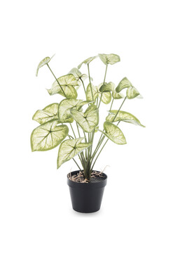 Greento Alokazja, sztuczna roślina w doniczce, wys.45cm