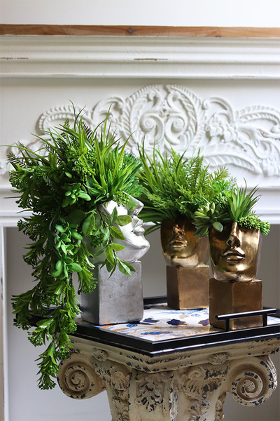 Suculentas Espana sukulenty w głowie kompozycja