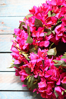 Bugenvilla, dekoracyjny różowy wianek