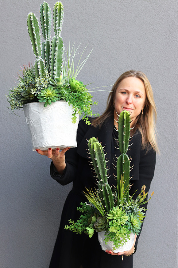 Cacti Saute B, sukulenty z kaktusem w stretchu, wys.68cm