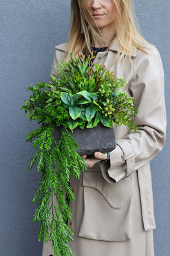 OD RĘKI Zielone Domy, kompozycja w betonowej donicy, wym.30/60x30cm