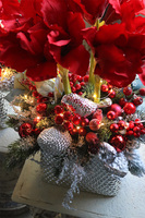 Amarylis Winter Premium, świąteczny stroik z czerwonym amarylisem, wys.55cm    