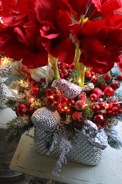 Amarylis Winter Premium, świąteczny stroik z czerwonym amarylisem, wys.55cm    