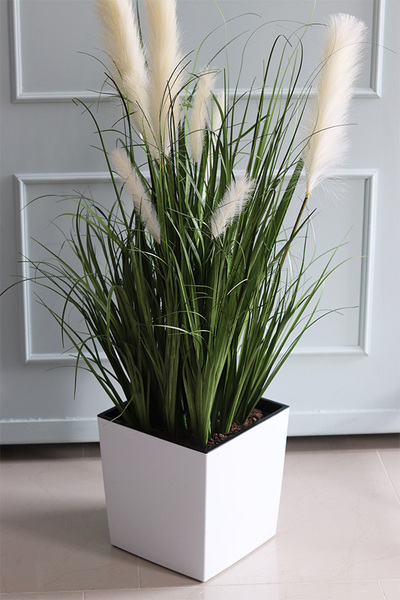 Dania Cube White, kompozycja z traw pampasowych w kwadratowej donicy, wys.118cm