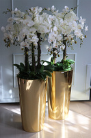 Golderia Side 2, elegancki storczyk podłogowy w złotej donicy, wys.130cm 