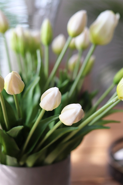 White Tulips, flowerbox z gumowymi tulipanami