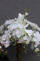 duży storczyk Mediolan Round 5 w białej donicy