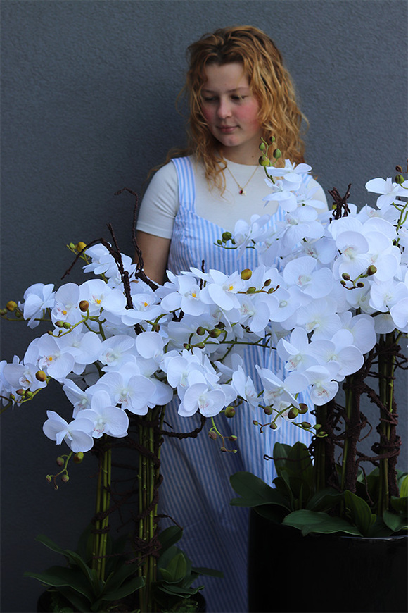 Lechuza Grande Premium, sztuczny storczyk