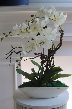 Laos White Delani, sztuczny storczyk w białej donicy, wys.59cm