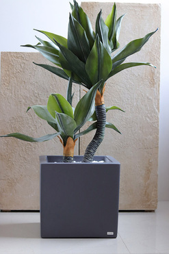 OD RĘKI Agawa Fiberglass, roślina w metalowej donicy, wys.77cm