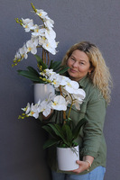 Luise Figaro White, sztuczny storczyk w prostej donicy