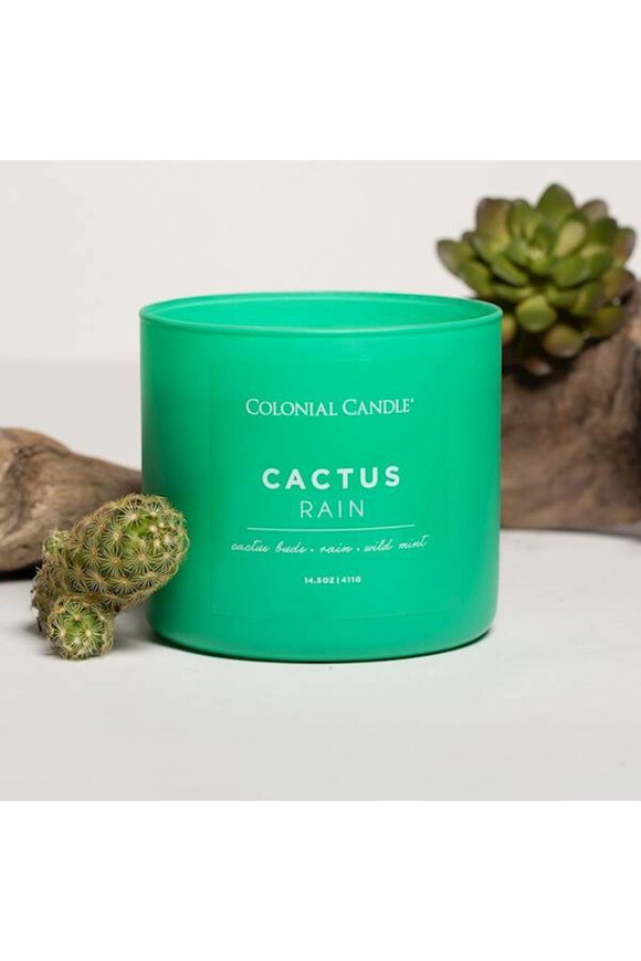 Cactus Rain sojowa świeca zapachowa Pop of Color