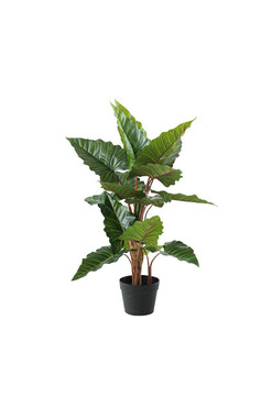 Alokazja, sztuczna roślina w doniczce, wys.120cm