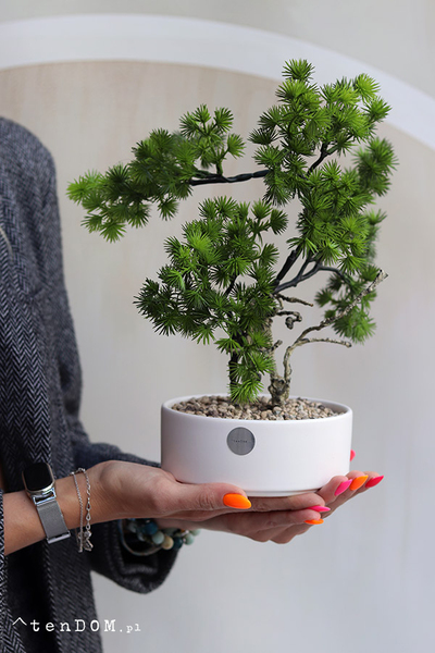 Bonsai Hikari, sztuczne drzewko w ceramicznej misie
