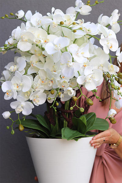 Biała Flotylla, elegancki sztuczny storczyk