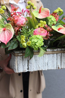 Anturium Dekorena, dekoracja nagrobna w skrzynce