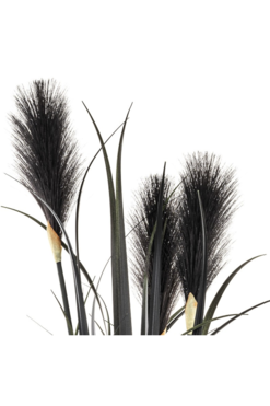 sztuczna trawa Pióropusze, czarny, wys.150cm