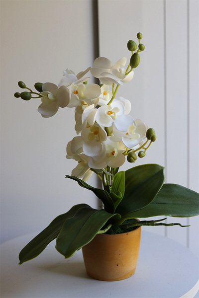 Mini Colors Concrete, sztuczny storczyk w żółtej donicy