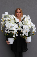 White House Mediolan 2, sztuczny storczyk w donicy