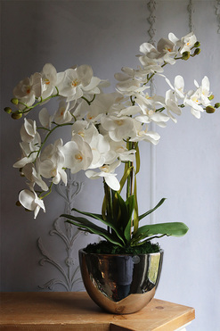 sztuczny storczyk Cinderella Mirror w srebrnej donicy,wys.63cm