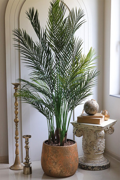 Clementine, sztuczna palma w złotej donicy, wys.170cm