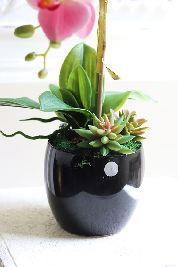 Różowa Pantera sztuczny gumowy storczyk z sukulentami