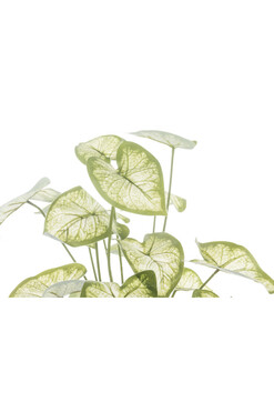 Greento Alokazja, sztuczna roślina w doniczce, wys.45cm