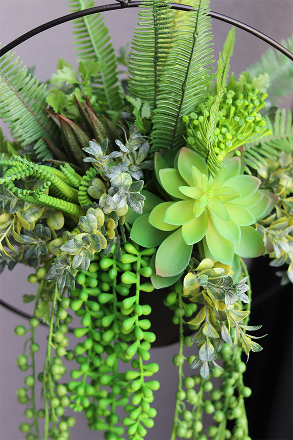 Black Longia, kompozycja sukulenty w Twojej wiszącej donicy, śr.33cm