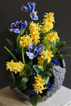 Leodiana Volcan Blue, kompozycja nagrobna w misie, wys.55cm 