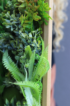 atrakcyjna jednostronna rama, Sukulenty Green Forest, wym.73x54cm