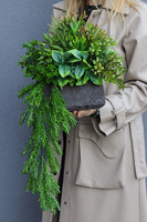 Zielone Domy, kompozycja w betonowej donicy