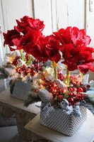 Amarylis Winter Premium, świąteczny stroik z czerwonym amarylisem, wys.55cm    