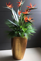 egzotyczna kompozycja, Strelicja Złota Bajka