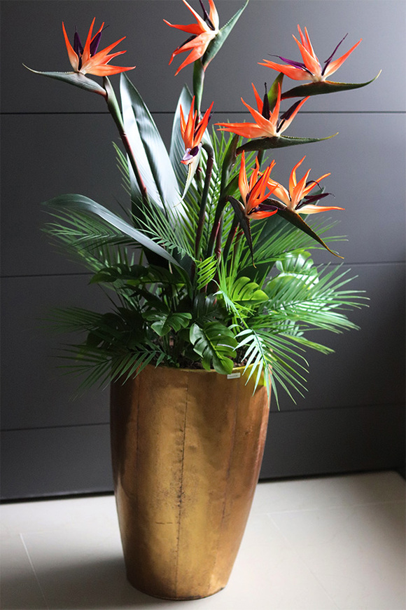 egzotyczna kompozycja, Strelicja Złota Bajka