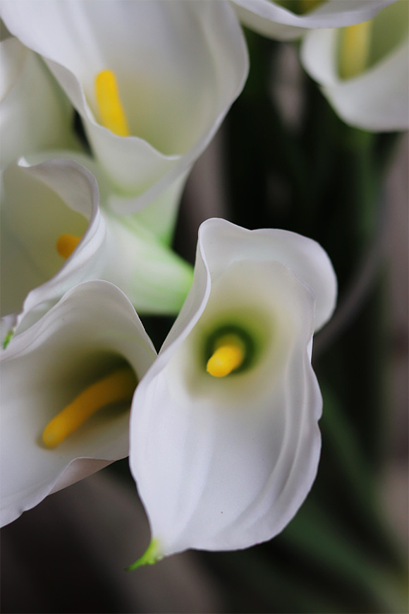 bukiet Kalli w szklanym wazonie, 30szt, wys.71cm 