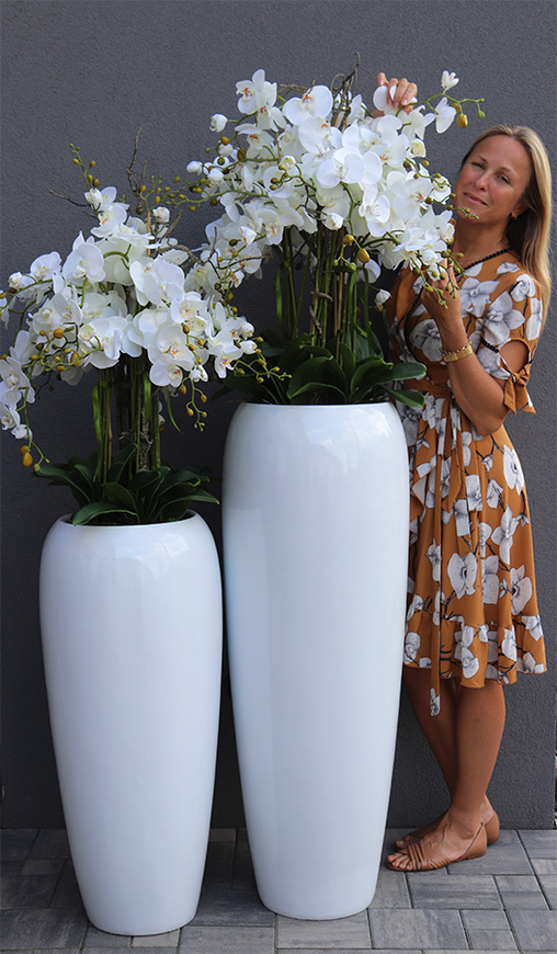 Premium Orchid, komplet 2 szt. wysokich storczyków w białych donicach, wym.154cm/175cm