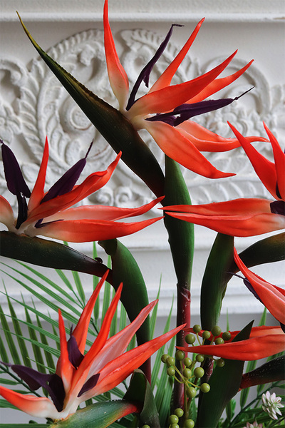 Strelicja Gold Pompadour, kompozycja w złotej donicy