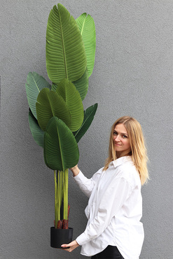 Bananowiec, sztuczne drzewko w osłonce donicy, wys.160cm 