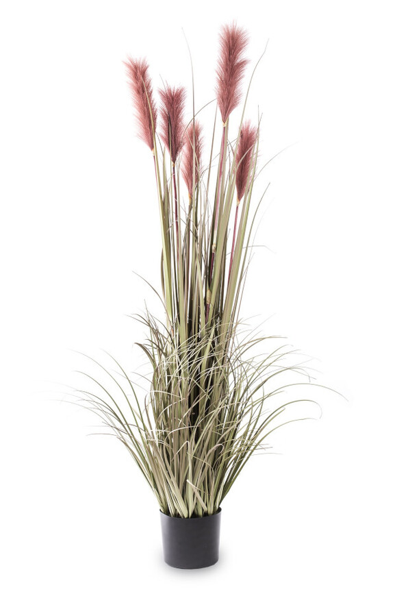 sztuczna trawa Pióropusze, róż, wys.149cm