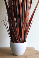 Reddania sztuczna trawa kwitnąca w donicy