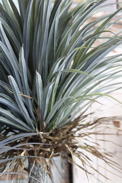 Jukka Rostrata (niższa), sztuczna roślina w donicy na stojaku, wys.185cm