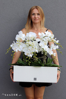 Samanta Natural, wysokiej jakości sztuczny storczyk