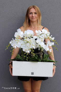 OD RĘKI Samanta Natural, wysokiej jakości sztuczny storczyk, wys.60cm