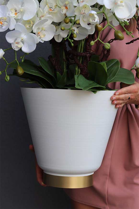 Biała Flotylla, elegancki sztuczny storczyk