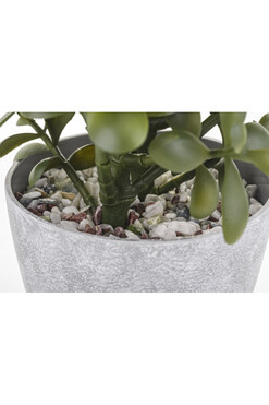 Grubosz, sztuczne drzewko szczęścia w osłonce / donicy, wym.41x20x20cm