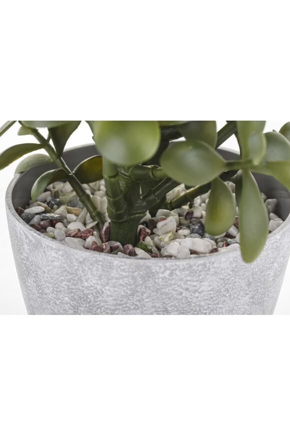 Grubosz, sztuczne drzewko szczęścia w osłonce / donicy, wym.41x20x20cm